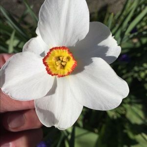 Meet your Posher, Terri